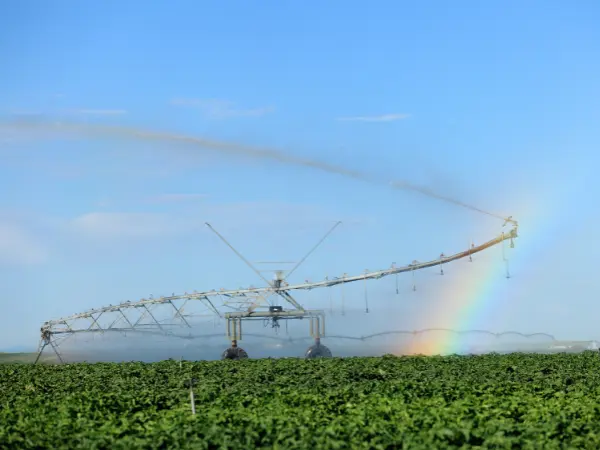 Un sistema de riego dibuja un arcoíris sobre un campo de cultivo.