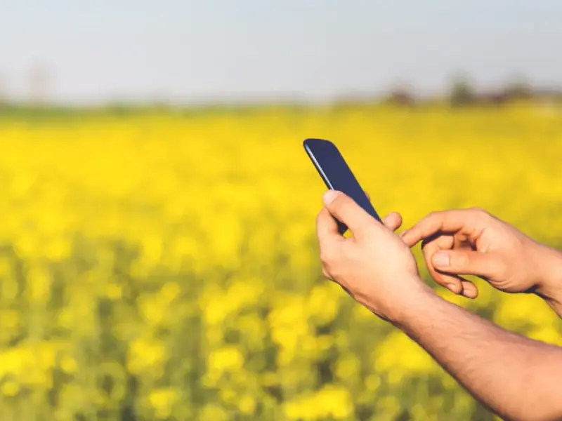 digitalización del campo