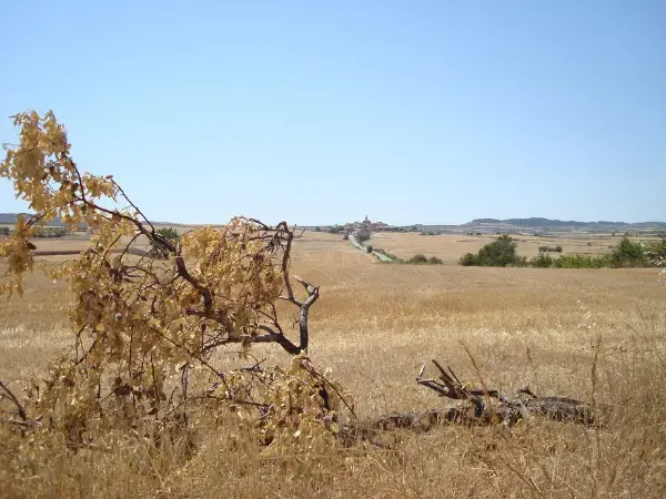 cambio climatico en finca rustica España