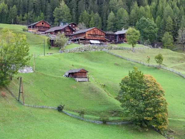 Campo verde con 7 casas de madera