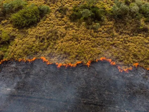 Incendio forestal en España