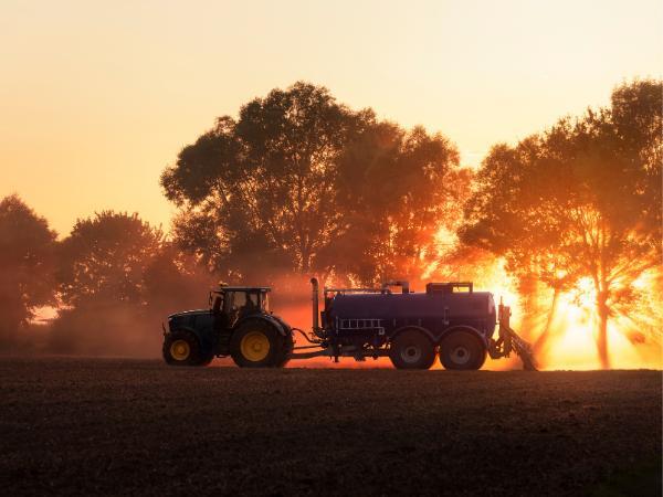 Campo español durante el otoño