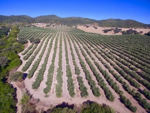 Finca rústica en España