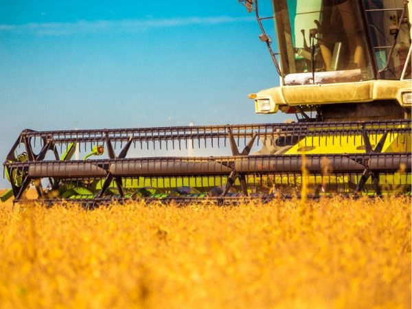 La maquinaria trata los cultivos de una finca en la que se practica la agricultura intensiva