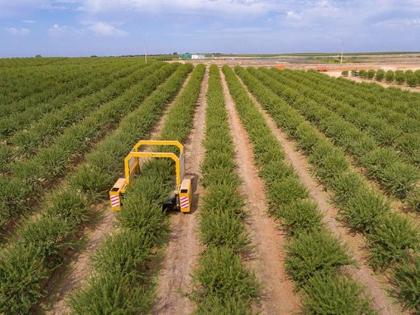 Campo en pleno trabajo agrícola