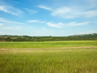 Terreno rústico en Aragón