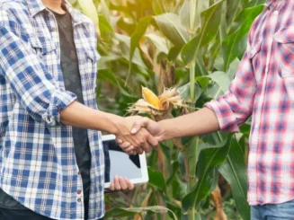 Dos personas formalizan la venta de un terreno heredado sin escritura.