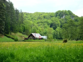 Finca rústica rodeada de naturaleza con amplias zonas verdes.