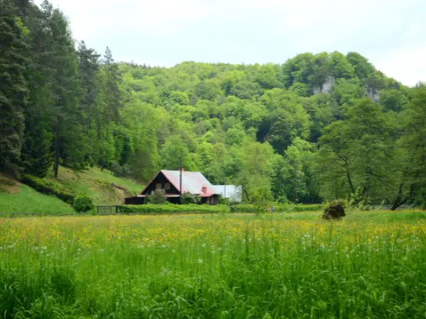 Finca rústica rodeada de naturaleza con amplias zonas verdes.