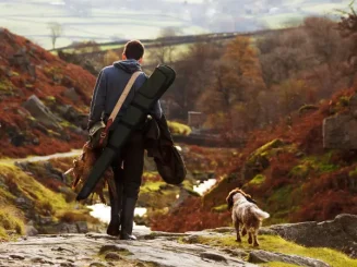 Cazador y su perro avanzan hacia el campo durante la temporada de caza en Comunidad Valenciana 2024/2025.