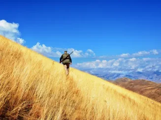 Un cazador camina por el campo durante la temporada de caza en La Rioja 2024/2025.