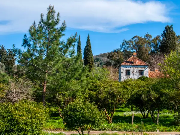 Casa de campo en medio de la naturaleza, rodeada de vegetación.