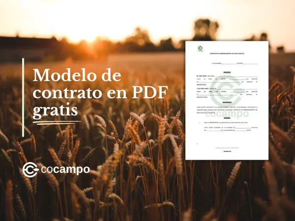 Modelo de contrato de arrendamiento de finca rústica de Cocampo.