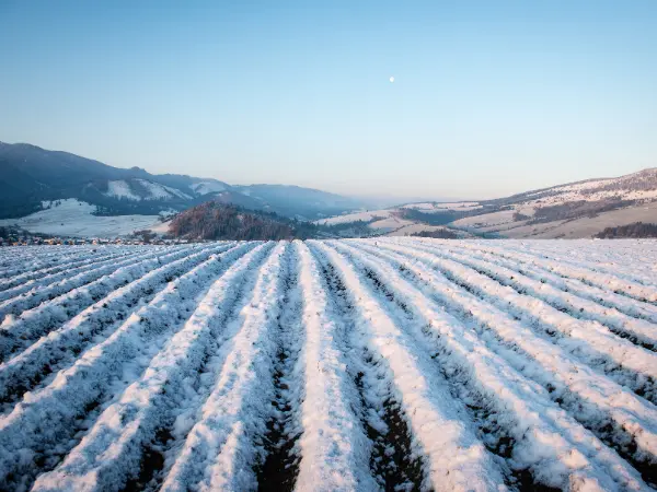 Campo nevado, que trae a la mente la inminente llegada del invierno 2024-2025 en España.