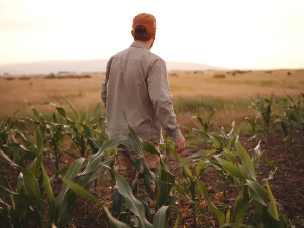 Joven agricultor entre los cultivos de su finca.