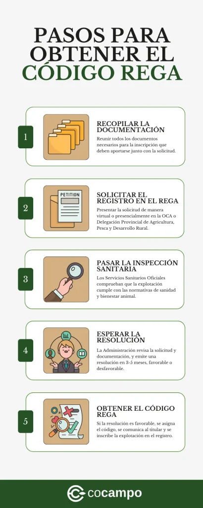 Infografía que enumera los pasos para obtener el código REGA.